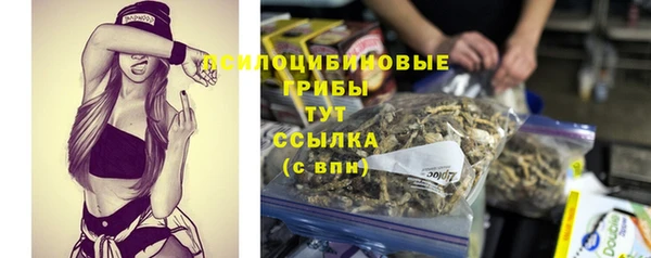ALPHA PVP Алексин
