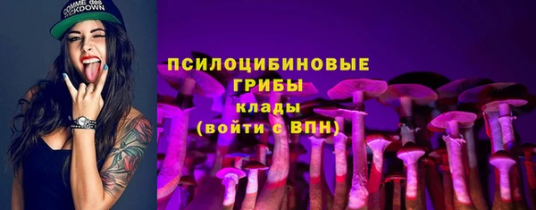 а пвп мука Алзамай