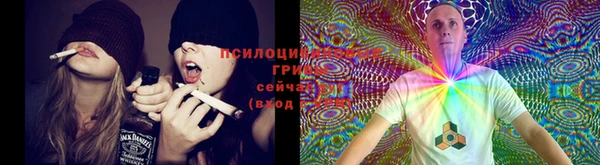 герыч Михайлов