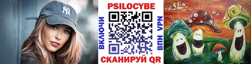 закладка Чёрмоз Галлюциногенные грибы Psilocybe